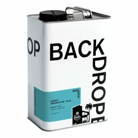 Backdrop 810102632487 Premium Exterior Paint Standard Semi Matte Low Sheen Finish Self-primi