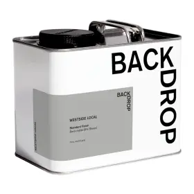 Backdrop 812601034724 Premium Interior Paint Standard Semi Matte Low Sheen Finish Self-primi