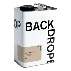 Backdrop 812601038241 Premium Exterior Paint Semi-gloss Finish For Outdoor Trim And Door