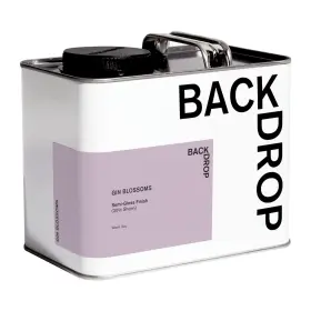 Backdrop 812601039156 Premium Exterior Paint Semi-gloss Finish For Outdoor Trim And Doors Self-prim Inch