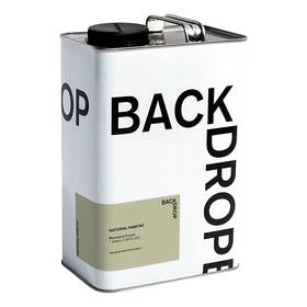 Backdrop Bd545106001 Premium Exterior Paint Standard Semi Matte Low Sheen Finish Self-primi