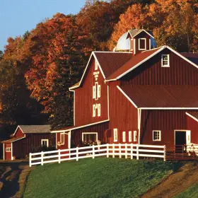 Behr 445037369363 Fence Exterior Paint 1 Gallon Red Barn Livestock Safe Durable Oil Latex Adhesion