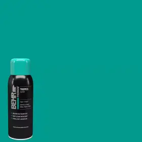 P450-6 Behr 678885198114 3 Pack Premium Tropics Gloss Spray Paint Primer 12oz Int/ext