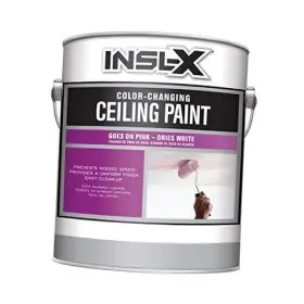 Pc120009a-01 Benjamin Moore & Co. Color-changing Acrylic Ceiling Paint White 1 Gallon 128 Fl Oz Pack Of