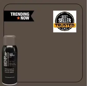 Ppu5-19 Branded 744759396938 12 Oz. #ppu5-19 Dark Truffle Flat Interior/exterior Spray Paint And Primer Aerosol