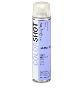 Colorshot 017754400970 Satin Spray Paint Skinny Dip Beige 10 Oz