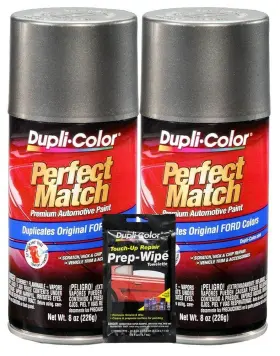 Dupli-color 026916914088 Dark Shadow Gray Exact-match Automotive Paint For Ford Vehicles - 8 Oz Bundl