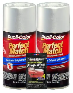Bgm0501 Dupli-color Galaxy Silver Metallic Exact Match Automotive Paint For Gm Vehicles