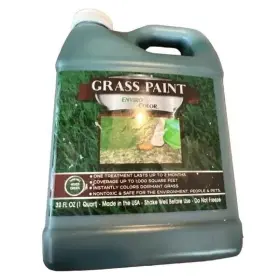 Envirocolor 851612002100 Unisex Paint Green 32 Ounce