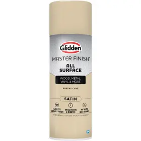 00474787 Glidden Satin All Surface Spray Paint And Primer - 12 Oz. Earthy Cane Color