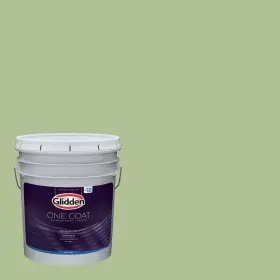 Ppg1120-5 Glidden 396956 Exterior Paint Primer Green/harmonious One Coat Semi-gloss 5-gallons