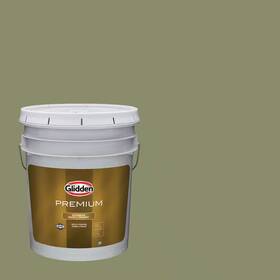 Glidden Premium 705353751615 5 Gal. Ppg1123-6 Playing Hooky Satin Exterior Latex Paint