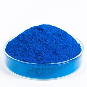 Goodtake 789513572630 Concrete Pigment Blue Iron Oxide Powder Cement Dy