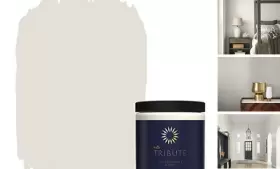 T514116 Masterchem Industries Llc Tribute Paint And Primer Interior Reserved White Color Sample