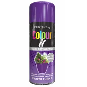 Paint Factory 055319573696 Purple Gloss Interior And Exterior Spray 250ml
