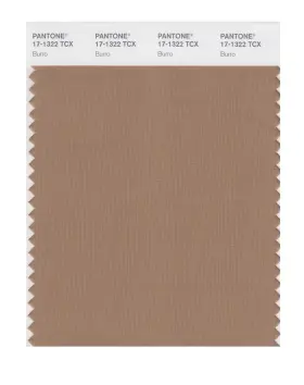 17-1322x Pantone 848826013237 Smart Color Swatch Card Burro