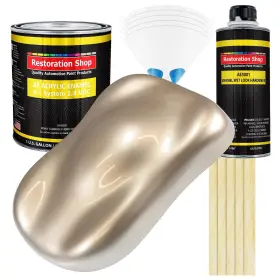 Restoration Shop 844825045057 Cashmere Gold Metallic Acrylic Enamel Auto Paint - Complete Gallon Ki