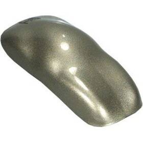 Restoration Shop 844926079302 Champagne Gold Metallic Urethane Basecoat With Clearcoat Auto Paint - Compl