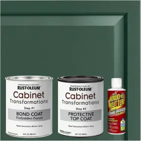 393607 Rust-oleum Cabinet Transformations Complete Coating Kit Satin Forbidden F