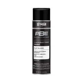 20-1678 Seymour 043281002264 Pbe Professional Trim Spray Paint Flat Black
