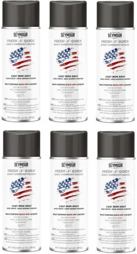 Seymour 043281009812 Fresh-n-quick 11-48 Cast Iron Gray 10oz Multi-purpose Enamel Spray Paint 6-pack