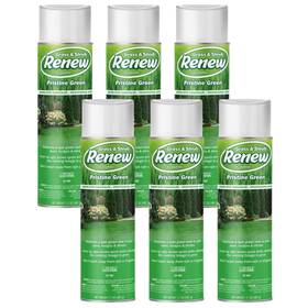 Seymour Paint 20602-6 Brown Spot Concealer 20-602 Pristine Green 17 Oz Pack Of 6 Professional-grade