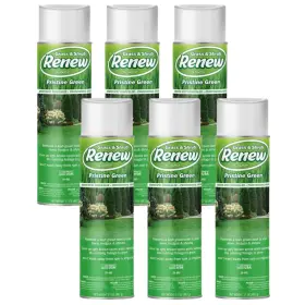 20602-6  Seymour Paint Brown Spot Concealer 20-602 Pristine Green 17 Oz Pack Of 6 Professional-grade