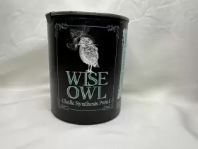 Wise Owl 664984001769 New 16 Fl Oz Pint Chalk Synthesis Paint River Rock Pint/primer Matte