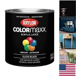 Krylon Colormaxx Gloss Black Acrylic Paint - Pint For Indoor/outdoor Glam New. Price: $23.90.