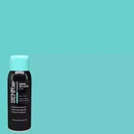 12 Oz. #P450-4 Hidden-sea-glass Gloss Interior/exterior Spray Paint And Primer New. Price: $10.50.