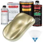 Antique Bronze Metallic Urethane Basecoat Paint Quart Kit & European Clear New. Price: $212.99.
