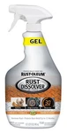 Rust Oleum Dissolver Spray Gel 32 Oz Clings Metal Quickly Removes... New. Price: $16.89.
