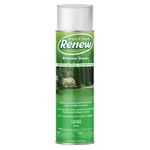 Seymour 20-602 Grass & Shrub Renew, Pristine Green, 17 Oz. Aerosol Can. Price: $10.99.