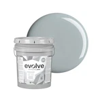 Evolve Paint & Primer: Interior Exterior Surfaces Pebble Gray 5GAL New. Price: $125.99.
