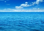 7X5FT Fabric Ocean Sky Backdrop Summer Sea Waves Photography Background New. Price: $27.94.