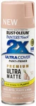 Rust-oleum 355035 Painter's Touch 2X Cover, 12 Oz, Ultra Matte New. Price: $22.83.
