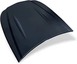 Lime Line Speed Shape Custom Paint Display Hood, Abs Plastic Black New. Price: $18.73.