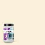 Beyond Paint Refinishing Off White Interior/exterior Water-based 1 Qt. New. Price: $63.75.
