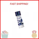 Craft & Hobby Color Shift Spray Paint Purple Sunrise, 11 Oz. New. Price: $31.64.