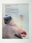 Vintage Glidden Paint Ad Print 1960S Pig Home Decor Farmhouse Rustic Used. Price: $10.24.