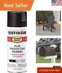 Stops Rust Spray Paint, 12 Oz, Flat Black New. Price: $10.99.