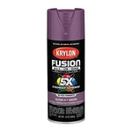 Krylon Fusion K02709007 ALL-IN-1 Spray Paint For In/outdoor Gloss Grape Purple New. Price: $16.68.