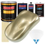 Champagne Gold Metallic Slow 1 Gallon Auto Paint Kit Urethane Basecoat Clearcoat New. Price: $377.99.