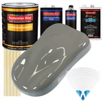 Dove Gray Slow 1 Gallon Automotive Car Paint Kit Urethane Basecoat & Clearcoat New. Price: $311.99.