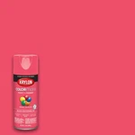Krylon Colormaxx 12OZ Watermelon Pink Fast Dry Spray Paint All Surfaces New. Price: $15.99.