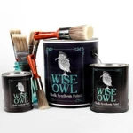 Wise Owl Chalk Synthesis Paint New. Price: $24.50.