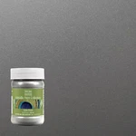 Modern Masters Metallic Paint Collection Satin Silver Water-based New. Price: $16.34.