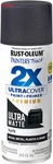 Rust-oleum 331187 Painter's Touch 2X Ultra Cover Spray Paint, 12 Oz, Matte New. Price: $8.92.