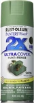 Rust Oleum Painter's Touch 2X Ultra Cover Spray 12OZ Satin Moss Green New. Price: $9.59.