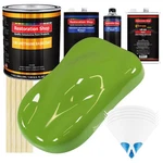 Sublime Green Gallon Urethane Basecoat Clearcoat Car Auto Paint Fast Kit New. Price: $353.99.